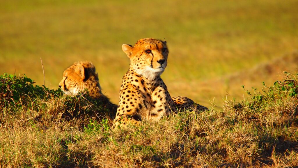 Viaje a Kenia 