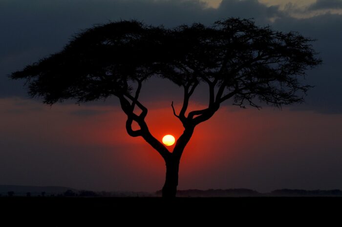 Kenia Esencial – Sarova