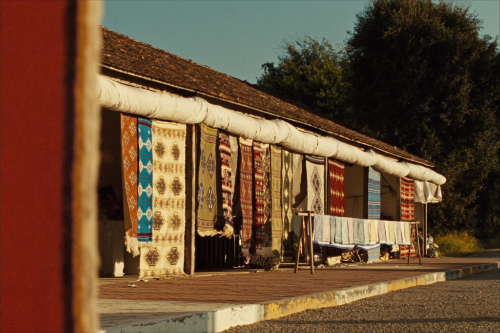 04-textiles-teotitlan-del-valle.png DETALLES DEL ADJUNTO