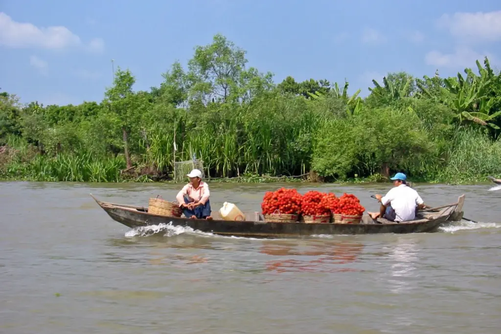 Barca navegando por un canal del Delta del Mekong