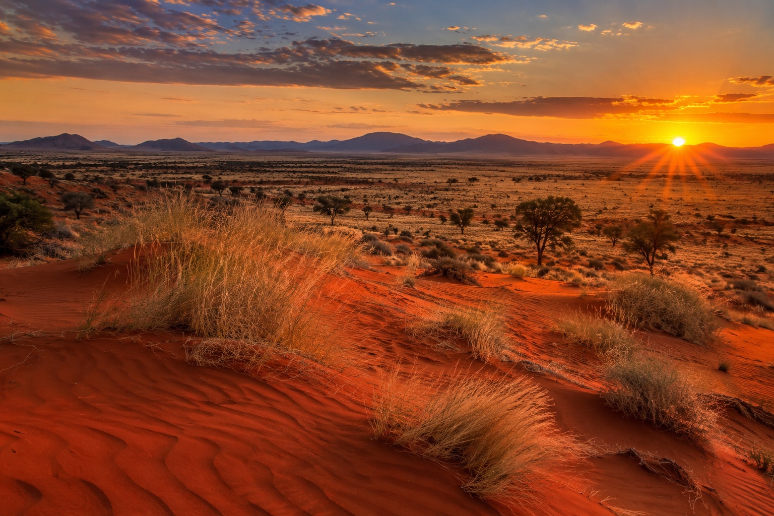 Paisaje de arena roja del Kalahari