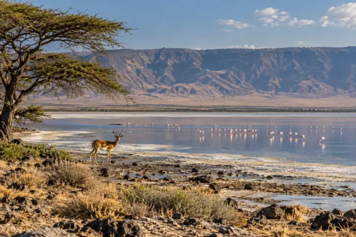 Tribus de Kenia y Tanzania